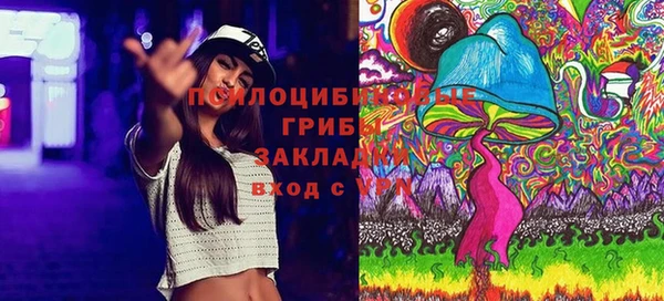 дмт Аркадак