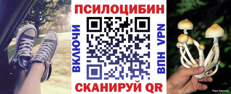 Псилоцибиновые грибы Cubensis  наркота  Оса 